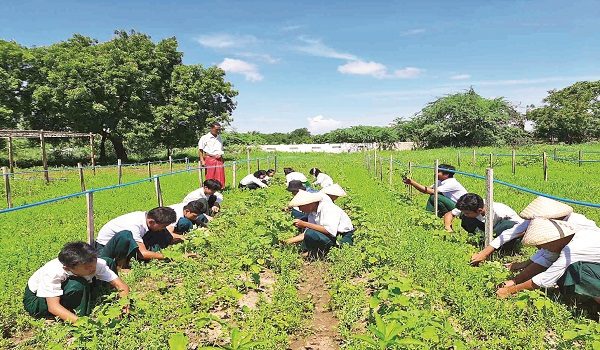 စိုက်ပျိုး၊ မွေးမြူရေးအထက်တန်းကျောင်းများမှ သင်တန်းသားသစ်များ ခေါ်ယူ