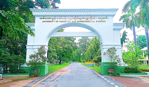 သစ်တောနှင့်ပတ်ဝန်းကျင်ဆိုင်ရာတက္ကသိုလ် ပထမနှစ်လျှောက်လွှာ ခေါ်ယူ