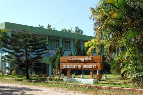 သစ်တောနှင့်ပတ်ဝန်းကျင်ဆိုင်ရာတက္ကသိုလ် ပထမနှစ်လျှောက်လွှာ ခေါ်ယူ