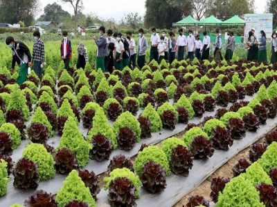 လာမည့်ပညာသင်နှစ် အလယ်တန်းအဆင့်တွင် စိုက်/မွေးပညာများ ထည့်သွင်းသင်ကြားမည်