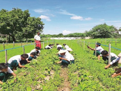 စိုက်ပျိုး၊ မွေးမြူရေးအထက်တန်းကျောင်းများမှ သင်တန်းသားသစ်များ ခေါ်ယူ