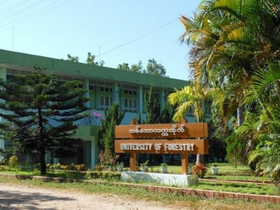 သစ်တောနှင့်ပတ်ဝန်းကျင်ဆိုင်ရာတက္ကသိုလ် ပထမနှစ်လျှောက်လွှာ ခေါ်ယူ