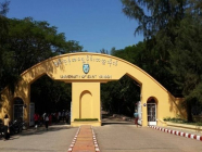 တက္ကသိုလ်ဝင်စာမေးပွဲ မအောင်မြင်သူများအတွက် Job-Ready Skills သင်တန်းများ