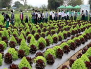 လာမည့်ပညာသင်နှစ် အလယ်တန်းအဆင့်တွင် စိုက်/မွေးပညာများ ထည့်သွင်းသင်ကြားမည်