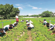 စိုက်ပျိုး၊ မွေးမြူရေးအထက်တန်းကျောင်းများမှ သင်တန်းသားသစ်များ ခေါ်ယူ