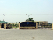 ဖွံ့ဖြိုးရေးတက္ကသိုလ် (ရန်ကုန်နှင့်စစ်ကိုင်း)တွင် သရုပ်ပြ/နည်းပြ ရာထူးများ ခေါ်ယူ
