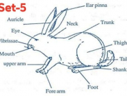 (Biology)Sets(5)တက္ကသိုလ်ဝင်တန်းစာမေးပွဲ ဝင်ရောက်ဖြေဆိုမည့် ကျောင်းသား/သူများအတွက် လေ့ကျင့်ရန်