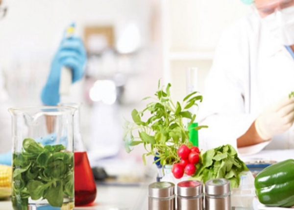 Food Technology & Microbiology Online သင္တန္း (အပတ္စဥ္-၂) ေလ်ွာက္လႊာေခၚယူျခင္း